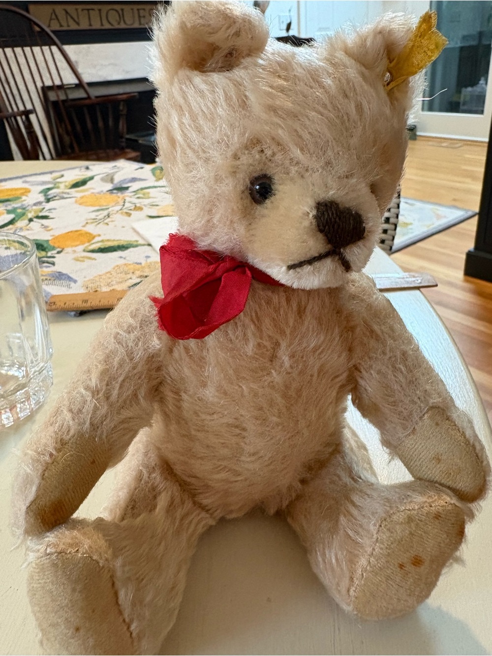 Vintage Steiff Mohair Teddy Bear with Original Red Bow and Brass Tag.